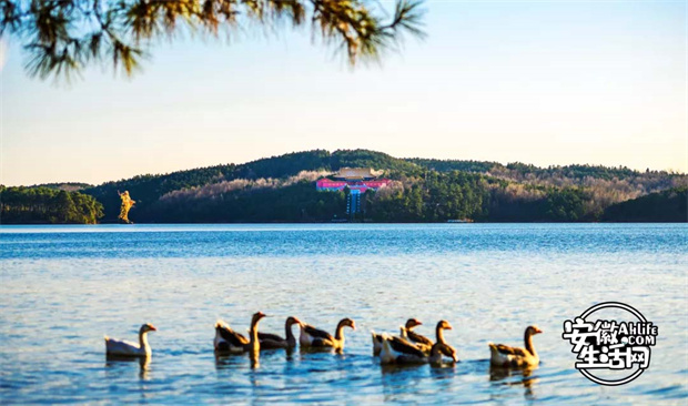 人生就是搏·(中国区)官方网站