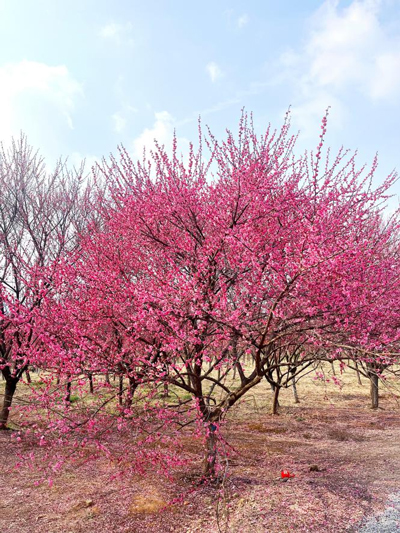 人生就是搏·(中国区)官方网站