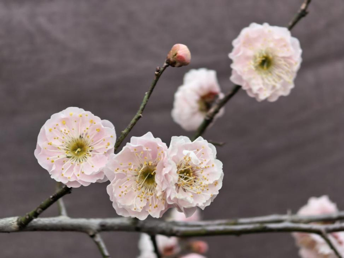 人生就是搏·(中国区)官方网站